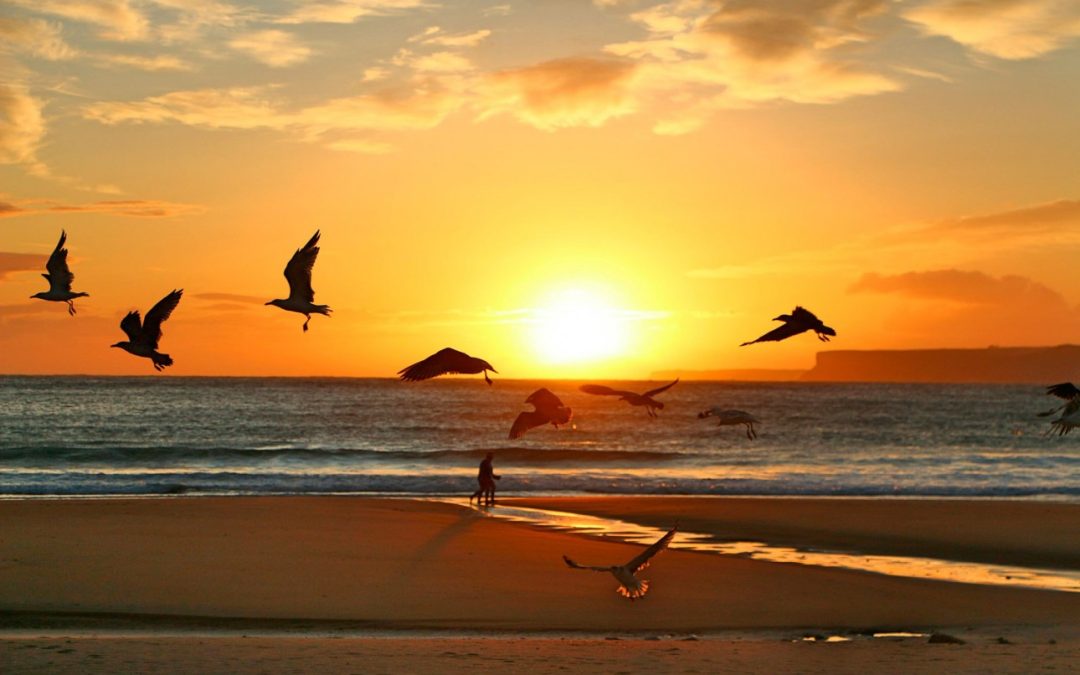 El Tantra es amoral. Osho